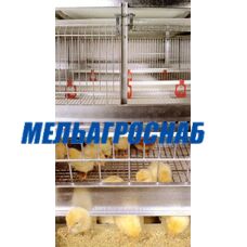 Комплект оборудования для клеточного содержания промышленного стада кур
